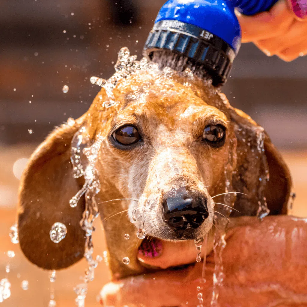 Bakersfield AC Experts: Trust Can Do Crew for Your Home